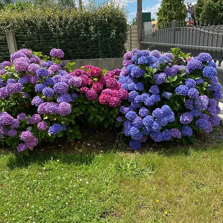 Vendee - Petite Maison De